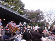 企画展