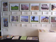 企画展