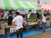 企画展